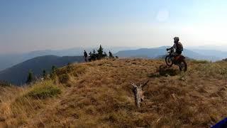 Single Track Heaven / My New Top Riding area in the PNW! (Sherco SE300 Factory)