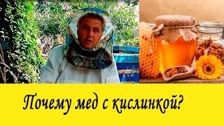 Почему мед с кислинкой?