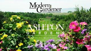 A Tour of Ashton Gardens at Thanksgiving Point