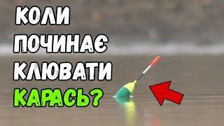Коли починає клювати карась весною? За яких умов він прокидається? Коли краще ловити карася?