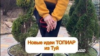 Новые идеи ТОПИАР из Туй 