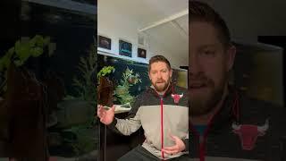 Crystal Clear Aquarium Water - 5 Tips 