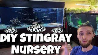 How to Build a DIY Stingray Nursery