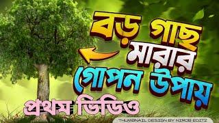 যেকোনো বড় গাছ মারার ঔষধ কিংবা উপায়।