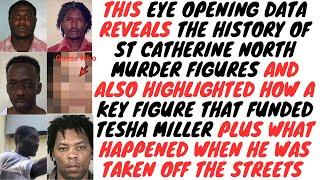 17 Years Of Murder Numbers In St Catherine North All Compressed In This One Video