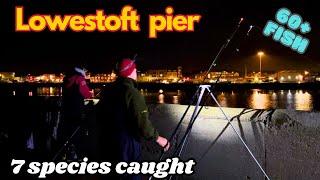 Sea fishing Lowestoft pier & harbour 7 species caught night session meet up Suffolk