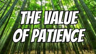 The Secret of Patience: The Chinese Bamboo Tree Story