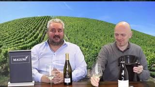  Welche Weinsorten gibt es? Der Sauvignon Blanc