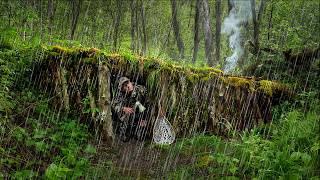 Building Survival Shelter and Catch&Cook in Thunderstorm | Solo Bushcraft