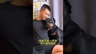 都学学吧 #拉登与阿亮的日常生活