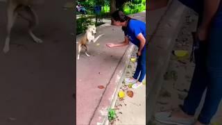 The love of all living creatures is the noble attribute of man#dog#love #shorts#tamil@Queen