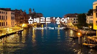 [일간클래식]슈베르트 : 피아노 5중주 '송어' , 1시간연속듣기  Schubert : Piano Quintet in A major, D667 'The Trout', 1 Hour