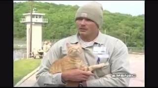 Prisoners and their cats.