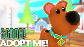 СКУБИ ДУ ОБНОВЛЕНИЕ! НАВСЕГДА?! В Adopt Me/Roblox