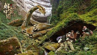 Nanling mountains are extinct. People look for monsters and accidentally see Python molting!