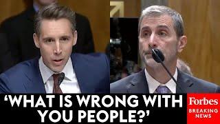 'That's Not A Rhetorical Question': Josh Hawley Goes Nuclear On Big Tech Execs In Fiery Exchange