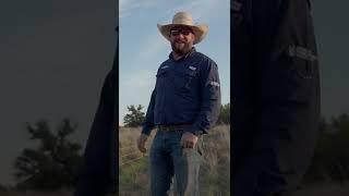 Goats to Help our Brush Problem - Regenerating the Ranch Episode 5 Teaser