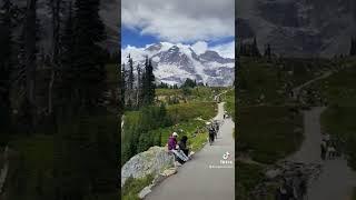 Looks like a dream in heaven. #mtrainier #nationalpark #hike #wanderlust #livinglife #naturelovers