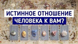 Истинное отношение человека к Вам? | 6 вариантов | Гадание онлайн | Таро расклад | Таро терапия Души