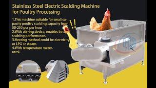 Poultry slaughtering and plucker machine slaughter equipment Stainless steel poultry removal machine