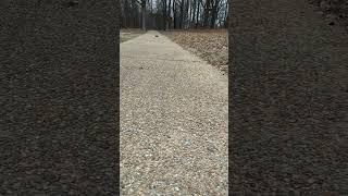 FMS Chaser speed test #fms #rccar #chaser #fsc24 #1/24 #shorts