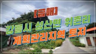 [급매] 강릉 성산면 위촌리 토지매매ㅣ위촌2리 마을회관 인근 도로접한 정남향 계획관리지역