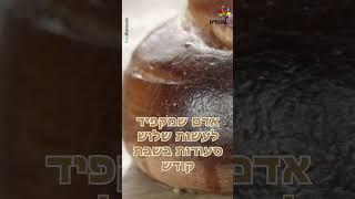 סגולה להצלה מחבלי משיח | הרב נריה ברבי - מלחמת "חרבות ברזל"️