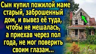 Сын купил пожилой матери старый разваливающийся дом и вывез её туда чтобы та не мешала…