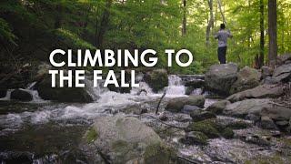 Climbing To The Fall