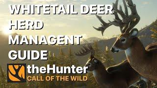 Ultimate Herd Management Guide for Whitetail Deer Great One Grind on the Hunter Call of the Wild