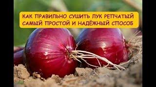 Как правильно сушить Лук репчатый The onion drying process competently