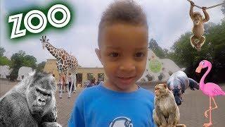 ZOO Animals! Zanderman fun at the Memphis Zoo with gorilla, monkey, lion, giraffe, & hippo!