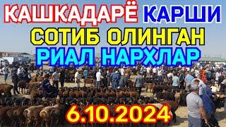 6.10.2024 СОТИБ ОЛИНГАН РЕАЛ НАРХЛАР КАРШИ КАРВОН МОЛ БОЗОРИДА