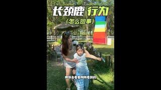#Parent-Child Education #Children's Safety #Content Inspiration Search #Nature Wonderland Science P