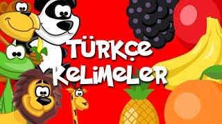 Kids & Fun Türkçe Kelimeler - Bölüm 1