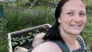 Time To PLANT! | Plant the GARDEN With ME | The Shearin Homestead