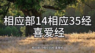 161.相应部14相应35经 喜爱经（白话佛经）解说