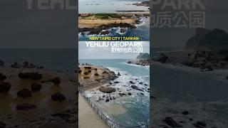 TAIWAN台湾 : New Taipei City新北市 | Yehliu Geopark野柳地质公园