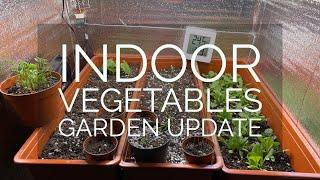 Grow vegetables in the house | Part 1