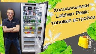 Premium built-in refrigerators | Liebherr Peak Review