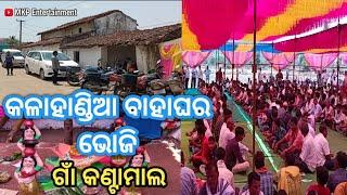 କଳାହାଣ୍ଡିଆ ବାହାଘର ଭୋଜି /Kantamal Village Marriage Bhoji /Kalahandi Village Vlogs 