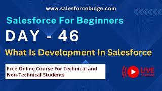What Is Development In Salesforce | salesforce bulge