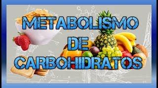 Metabolismo de carbohidratos #BIOQUÍMICA