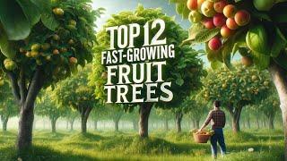 Grow Fast! The Top 12 Fast Growing Fruit Trees