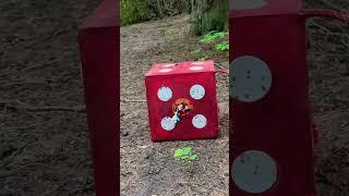 50 yard dot while camping️#archery #bow #arrow #camping #outdoors #shortsvideo #shorts #short