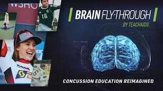 CrashCourse | Brain Fly-Through