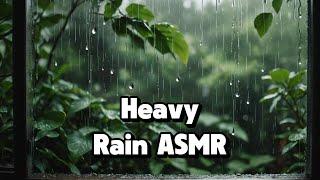 Heasvy Rain ASMR - #ASMR #RainSound #RainASMR #SleepMusic #StudyMusic #HealingSounds #NatureSounds
