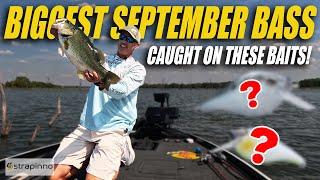 I Caught the Biggest Bass In September with these baits!