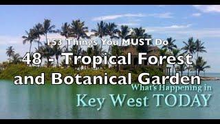 Best Things to Do in Key West - 48: TROPICAL FOREST AND BOTANICAL GARDEN