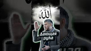 Сильное дуа #мусульмане #дуга #аллах